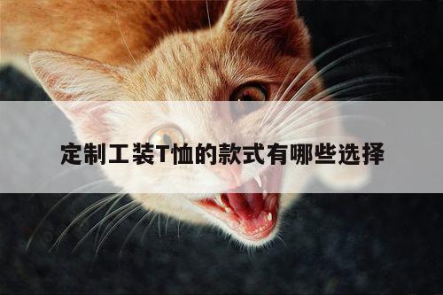 定制工装T恤的款式有哪些选择|德赢vwin官网