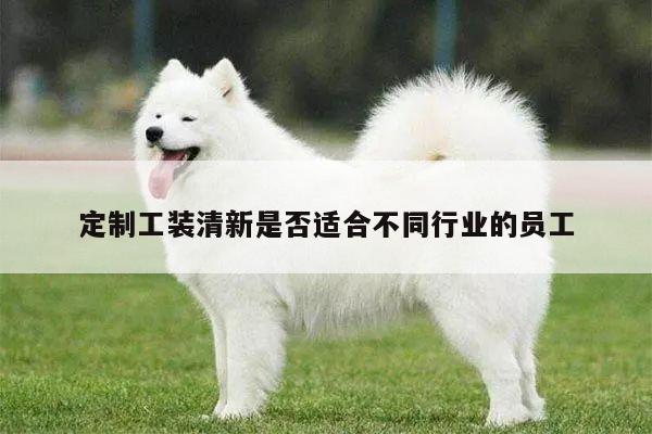 定制工装清新是否适合不同行业的员工-德赢vwin官方网站