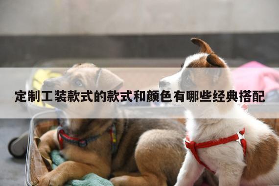 定制工装款式的款式和颜色有哪些经典搭配-德赢vwin官网