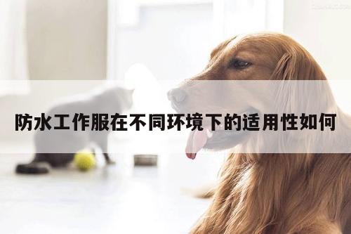 防水工作服在不同环境下的适用性如何-德赢vwin158