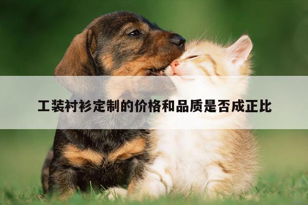 德赢vwin官方网站:工装衬衫定制的价格和品质是否成正比