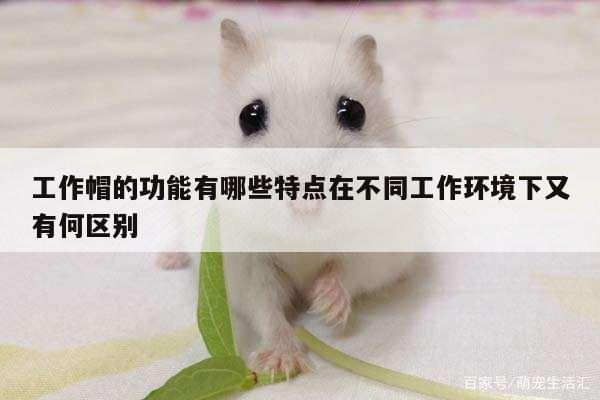 【德赢vwinac米兰】工作帽的功能有哪些特点在不同工作环境下又有何区别