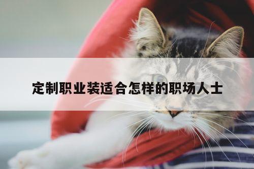 定制职业装适合怎样的职场人士|德赢vwinac米兰