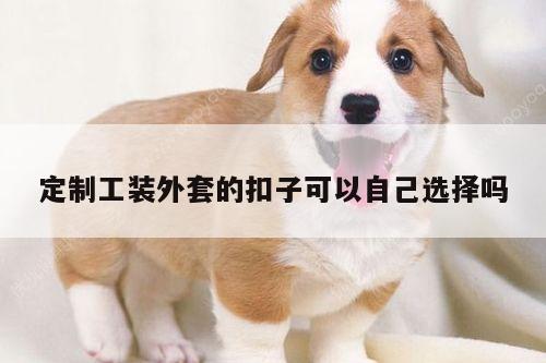 定制工装外套的扣子可以自己选择吗【德赢vwin158】