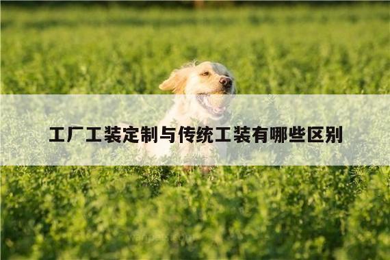 工厂工装定制与传统工装有哪些区别:德赢vwinac米兰