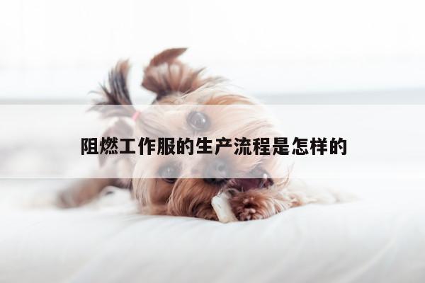 阻燃工作服的生产流程是怎样的:德赢vwin158
