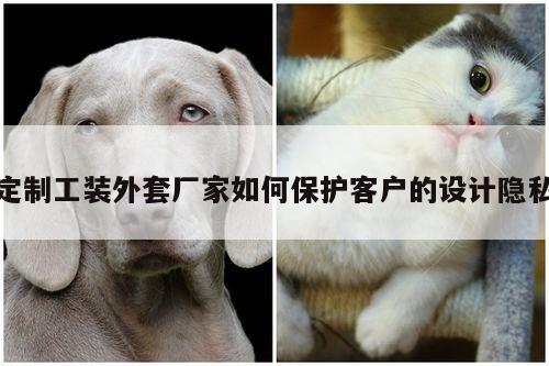 【德赢vwin官方网站】定制工装外套厂家如何保护客户的设计隐私