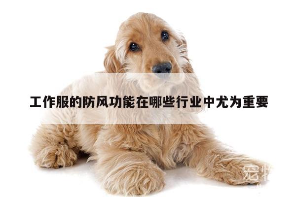 工作服的防风功能在哪些行业中尤为重要_德赢vwin官网