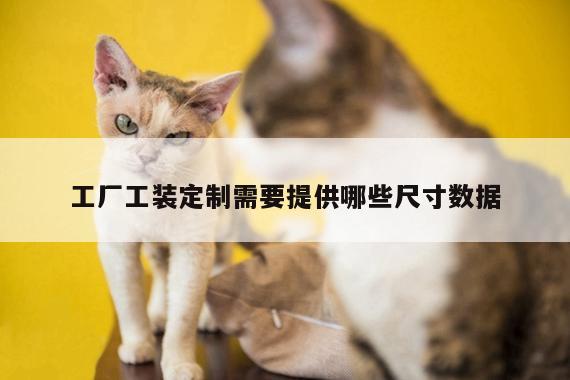 德赢vwin官网|工厂工装定制需要提供哪些尺寸数据