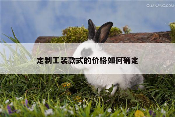 定制工装款式的价格如何确定_德赢vwin官网