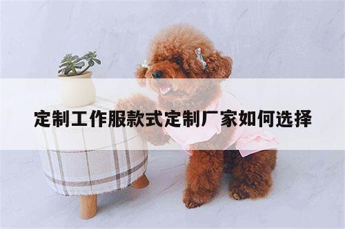 德赢vwin158-定制工作服款式定制厂家如何选择