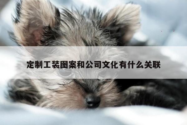 德赢vwinac米兰：定制工装图案和公司文化有什么关联