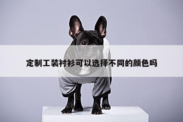 定制工装衬衫可以选择不同的颜色吗:德赢vwinac米兰