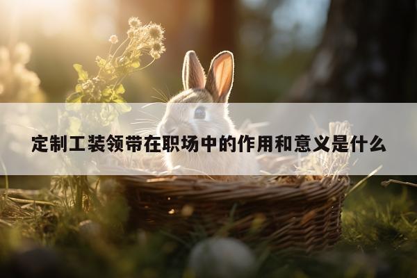 德赢vwin官网:定制工装领带在职场中的作用和意义是什么