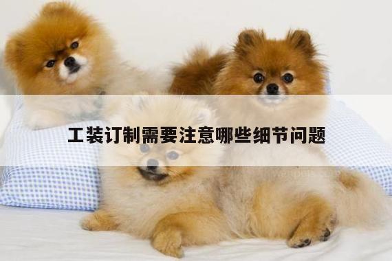 德赢vwin官方网站:工装订制需要注意哪些细节问题