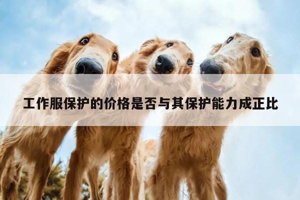德赢vwin官方网站-工作服保护的价格是否与其保护能力成正比