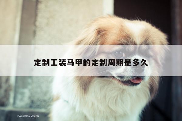 定制工装马甲的定制周期是多久_德赢vwinac米兰