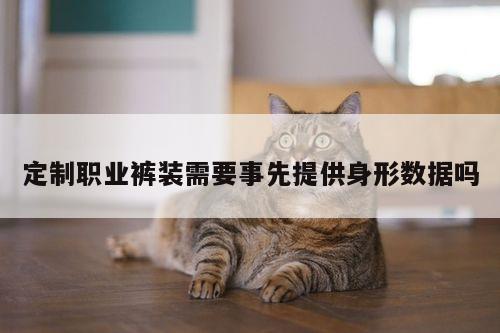 德赢vwin官方网站:定制职业裤装需要事先提供身形数据吗