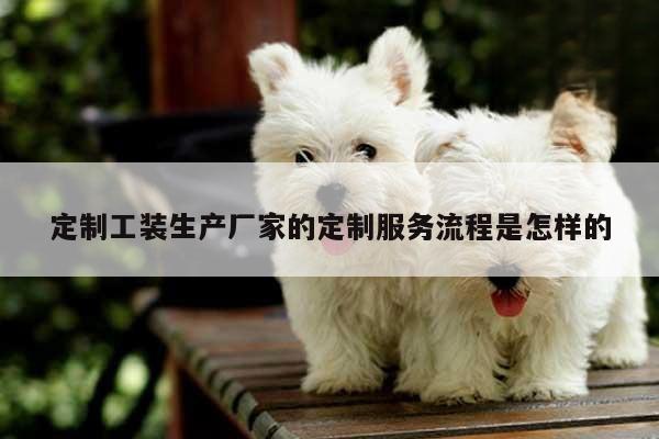 德赢vwin158_定制工装生产厂家的定制服务流程是怎样的