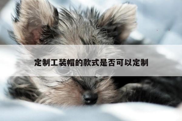定制工装帽的款式是否可以定制|德赢vwin官网