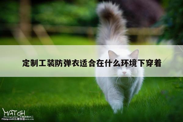 德赢vwin158|定制工装防弹衣适合在什么环境下穿着